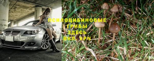 PSILOCYBIN Вязники
