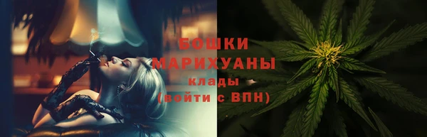 PSILOCYBIN Вязники