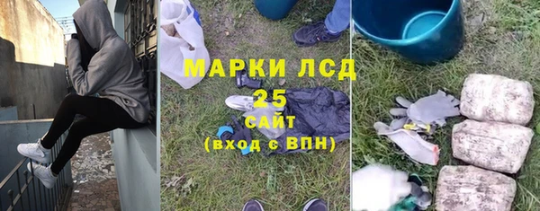 PSILOCYBIN Вязники