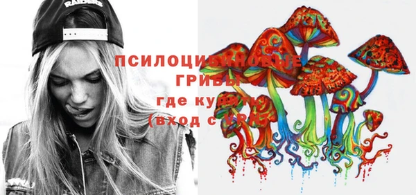 PSILOCYBIN Вязники