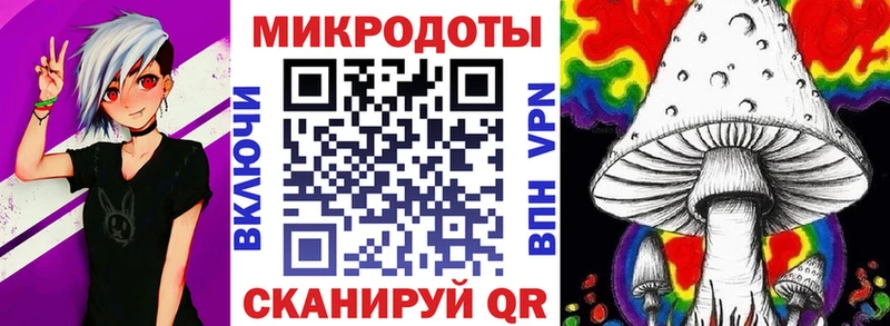 купить наркотики цена  Южа  Псилоцибиновые грибы мицелий 